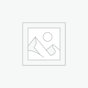 Focus Checklist Download